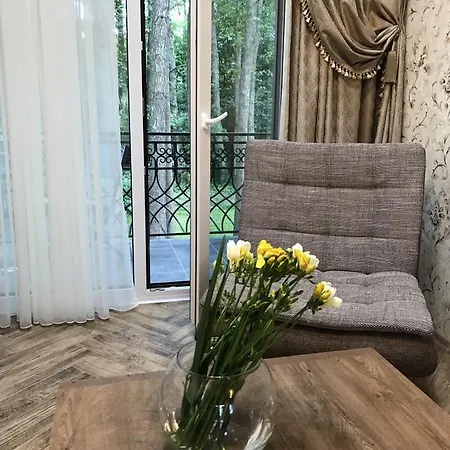 New Provence Style 2 Floor In